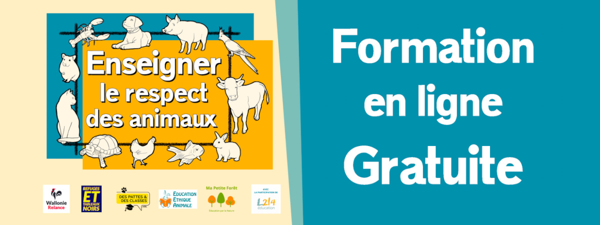 ENSEIGNER LE RESPECT DES ANIMAUX EN EDUCATION MORALE ET CIVIQUE
